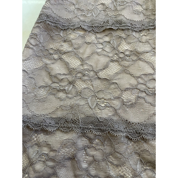 Skinny Girl Smoothers & Shapers Beige & Gray Lace Underwire Mini Dress Shapewear - Picture 8 of 14